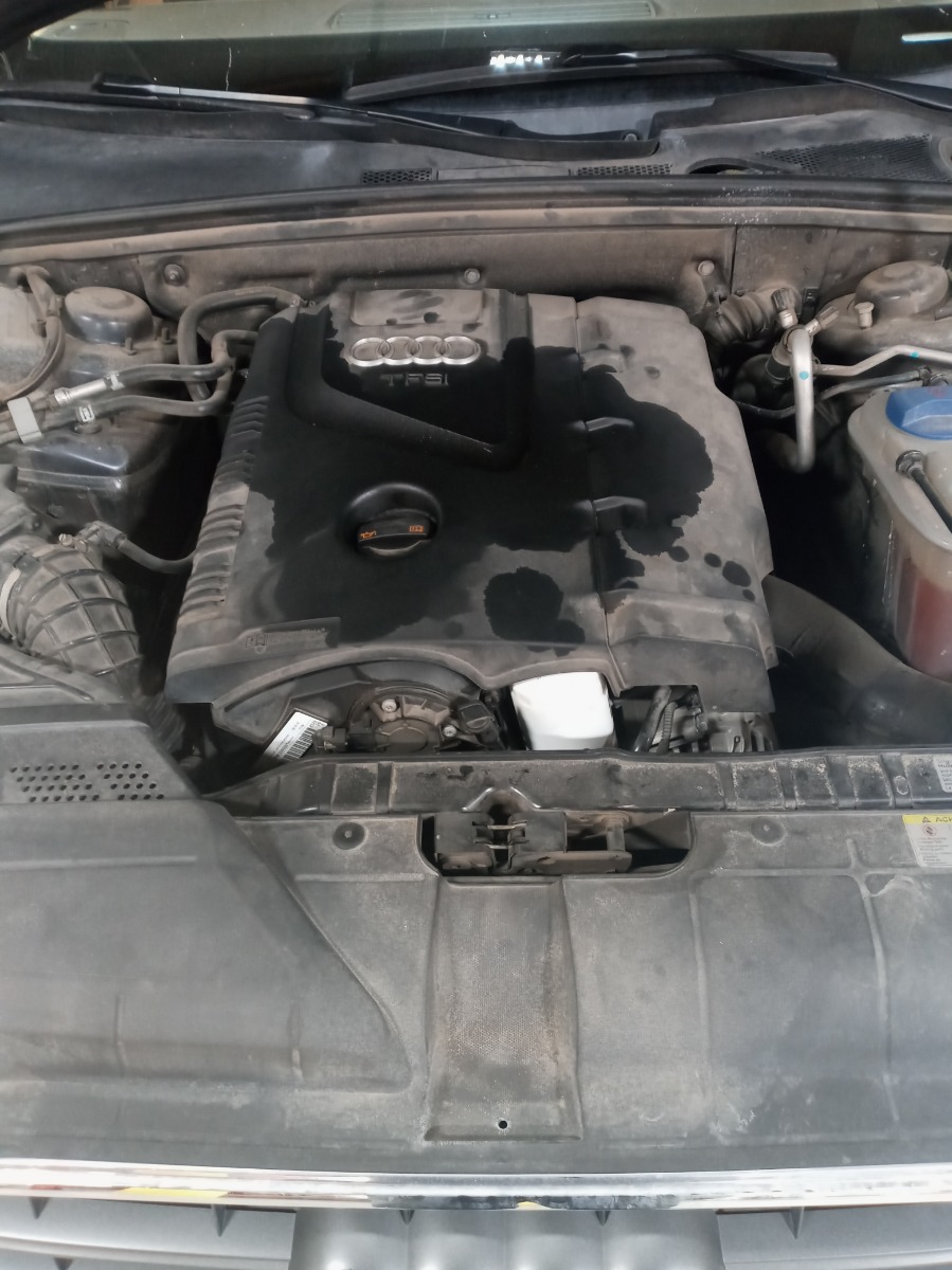 Engine Bay