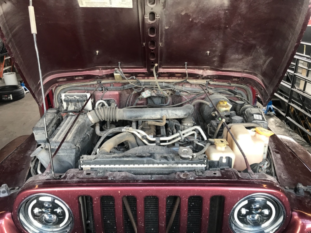 Engine Bay