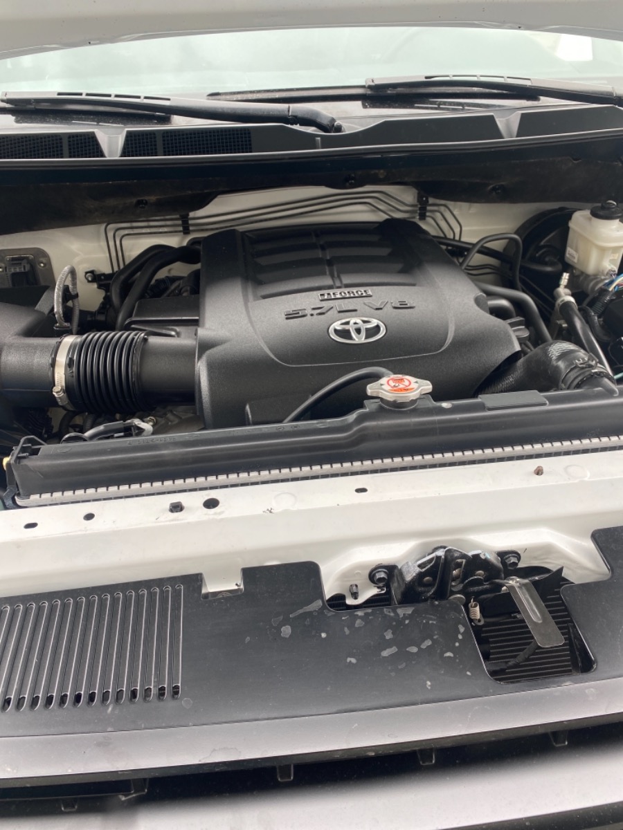 Engine Bay