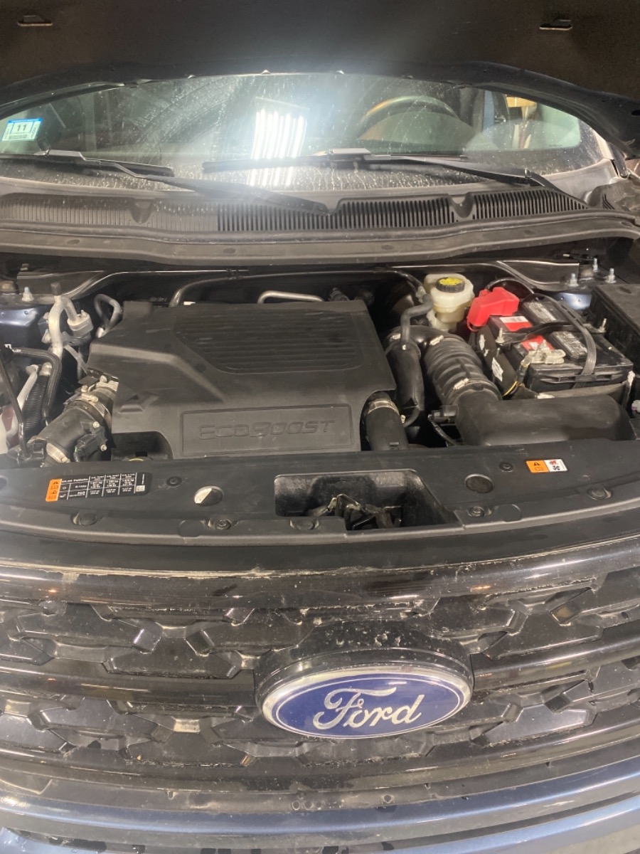 Engine Bay