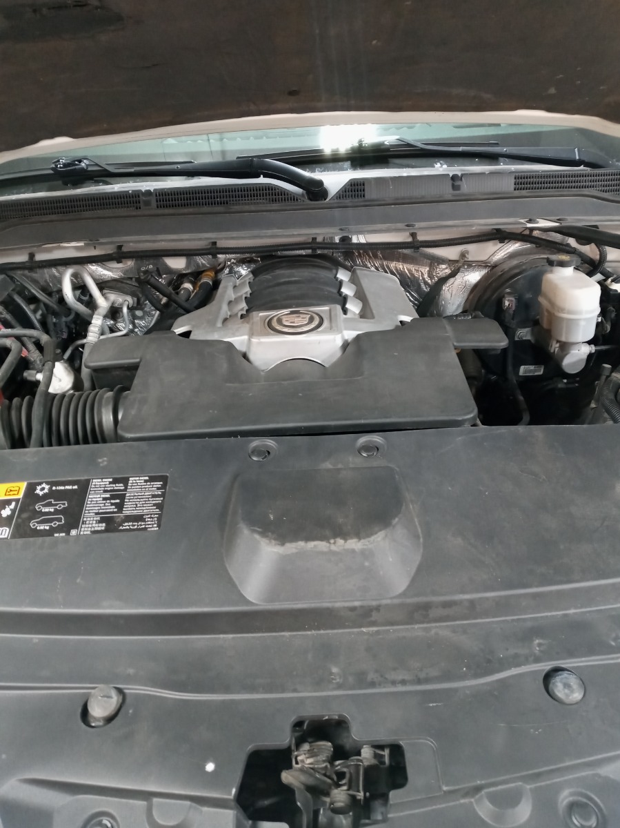 Engine Bay