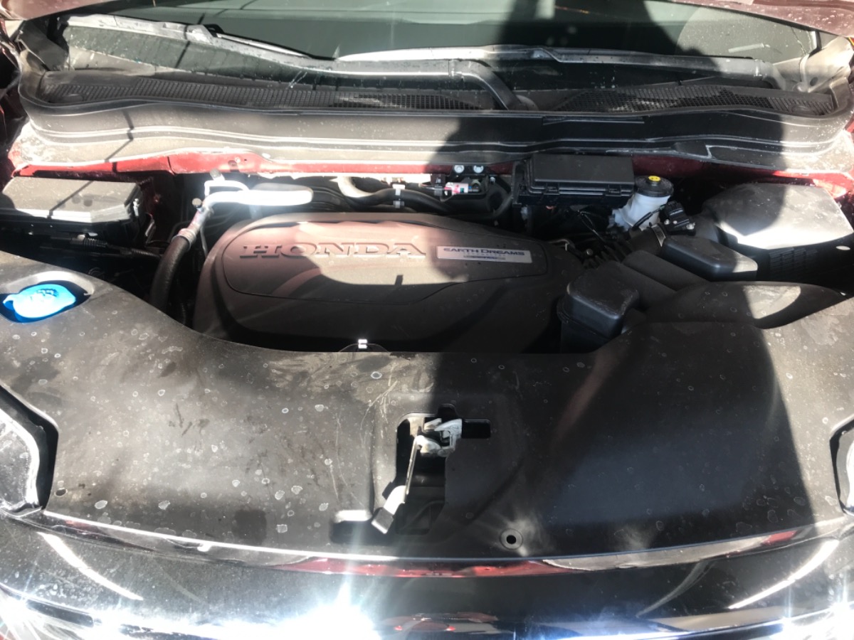 Engine Bay