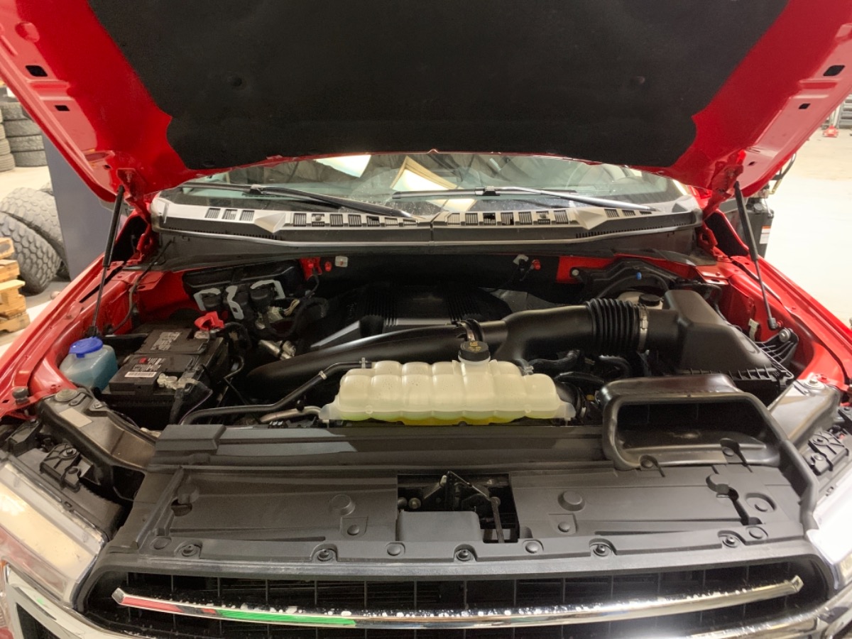 Engine Bay