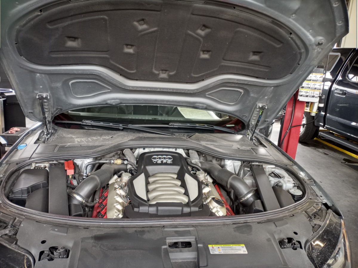 Engine Bay