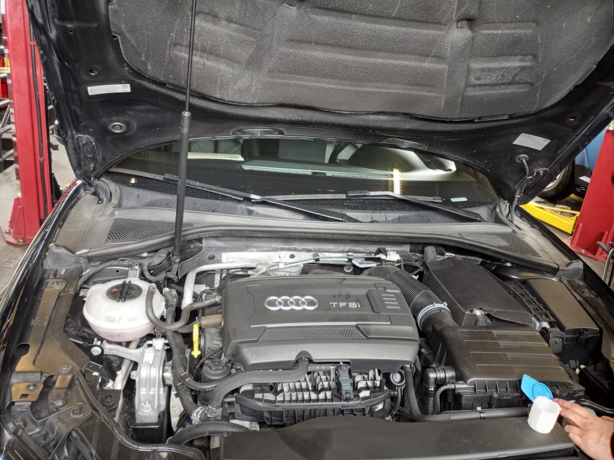 Engine Bay