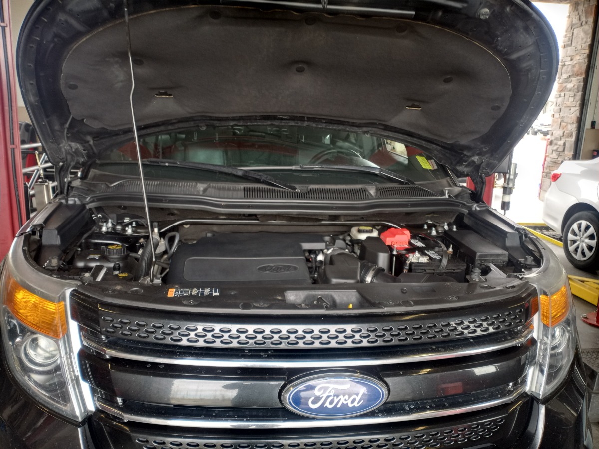 Engine Bay
