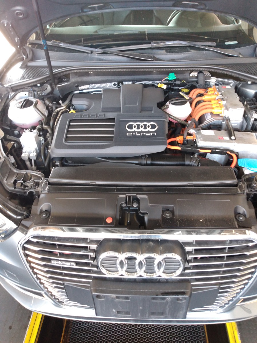 Engine Bay