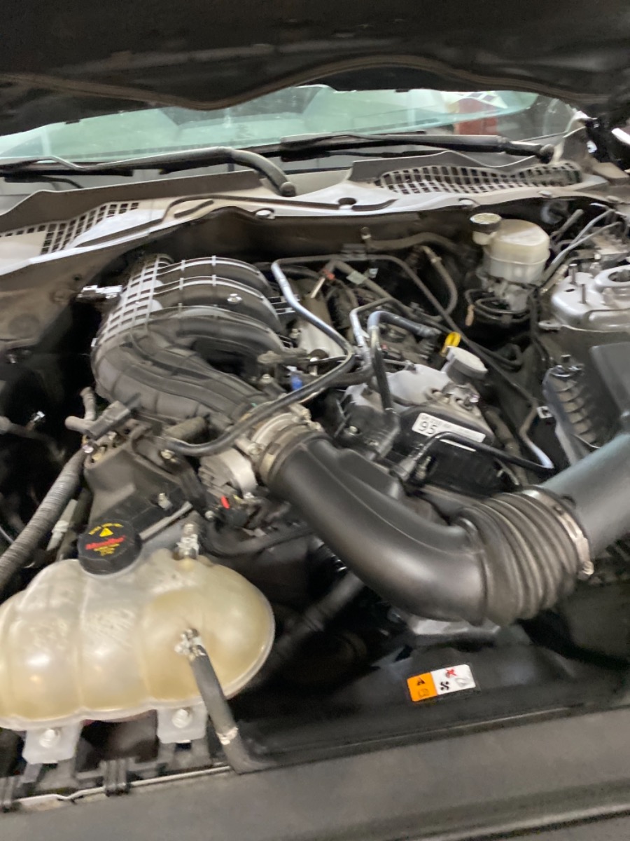 Engine Bay