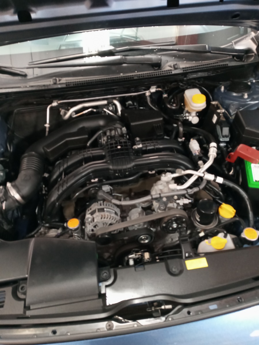 Engine Bay