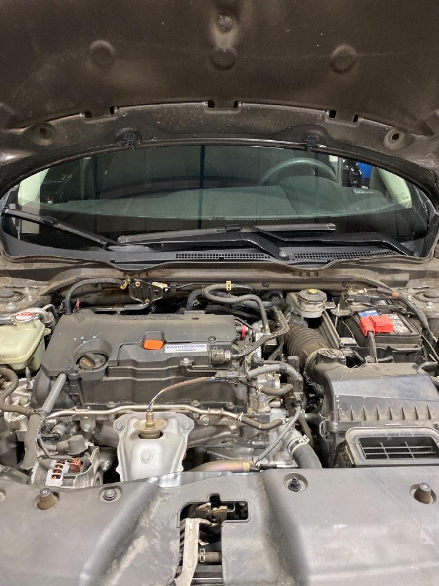 Engine Bay