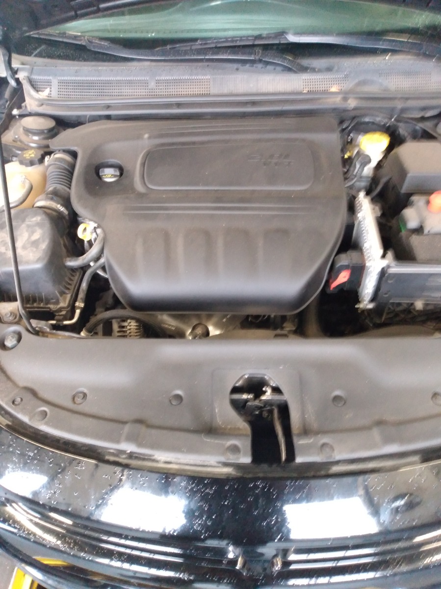 Engine Bay