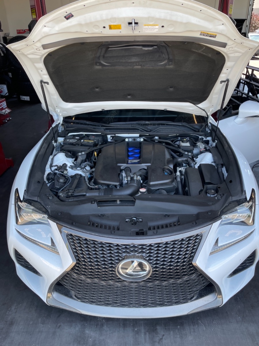 Engine Bay