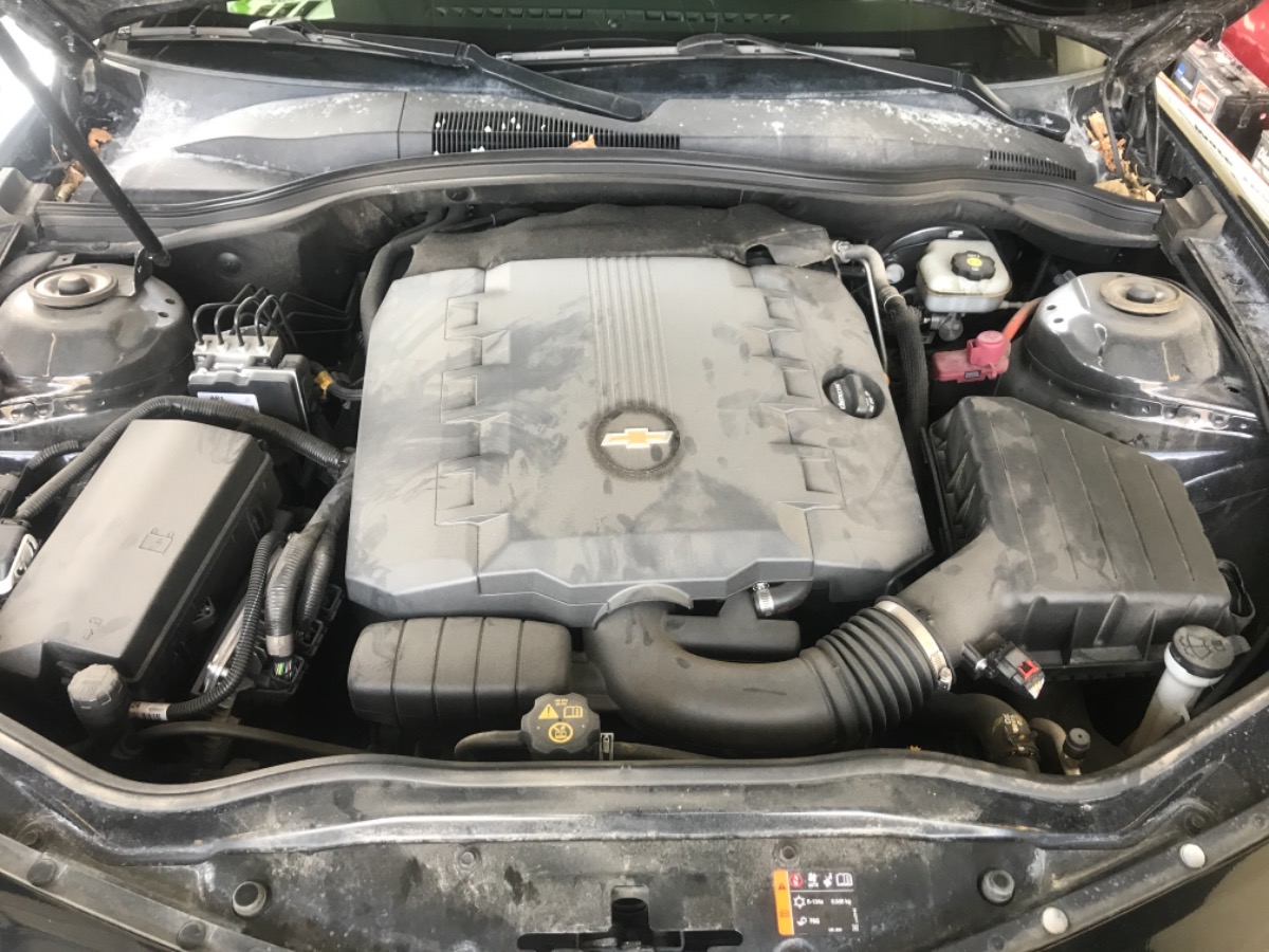 Engine Bay