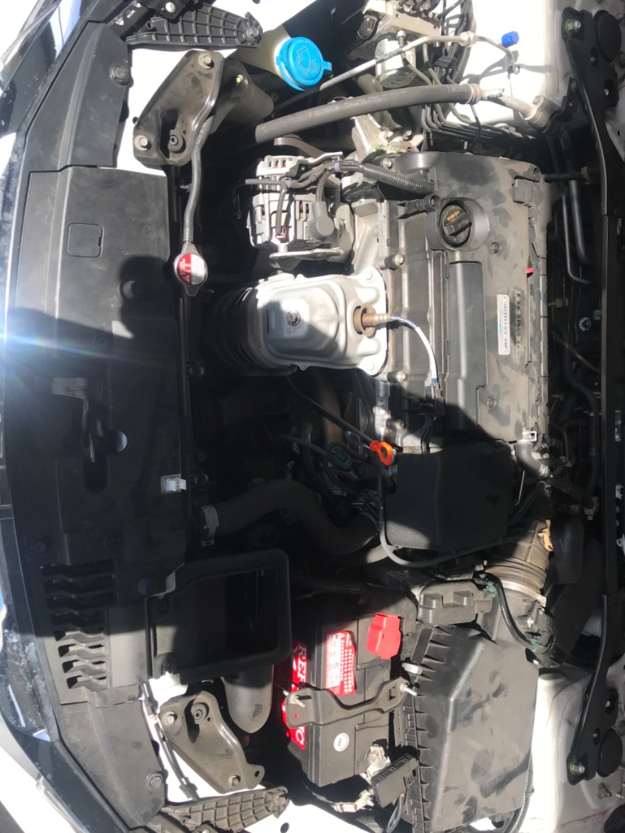 Engine Bay