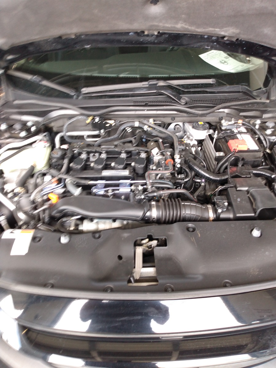Engine Bay