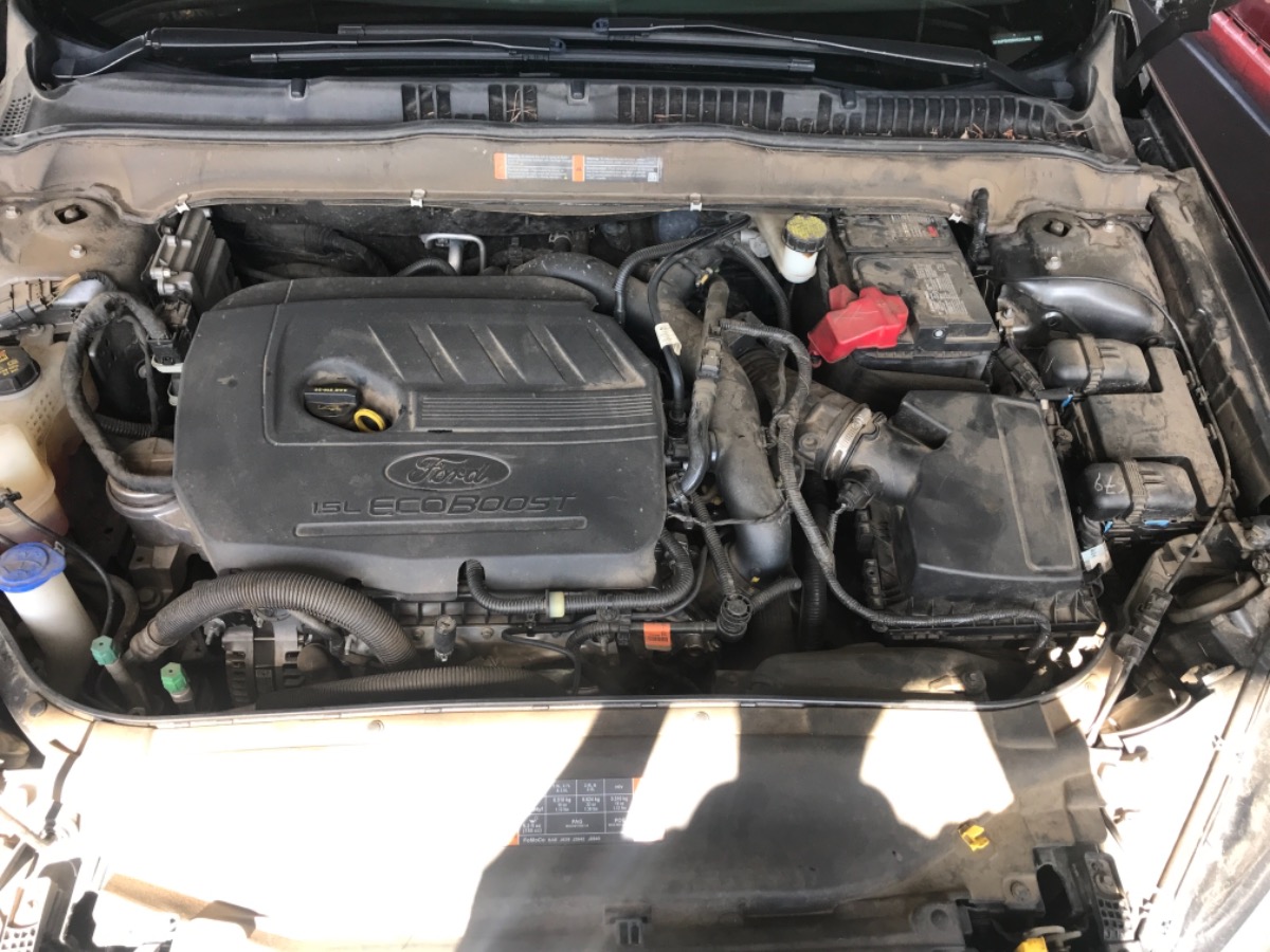 Engine Bay