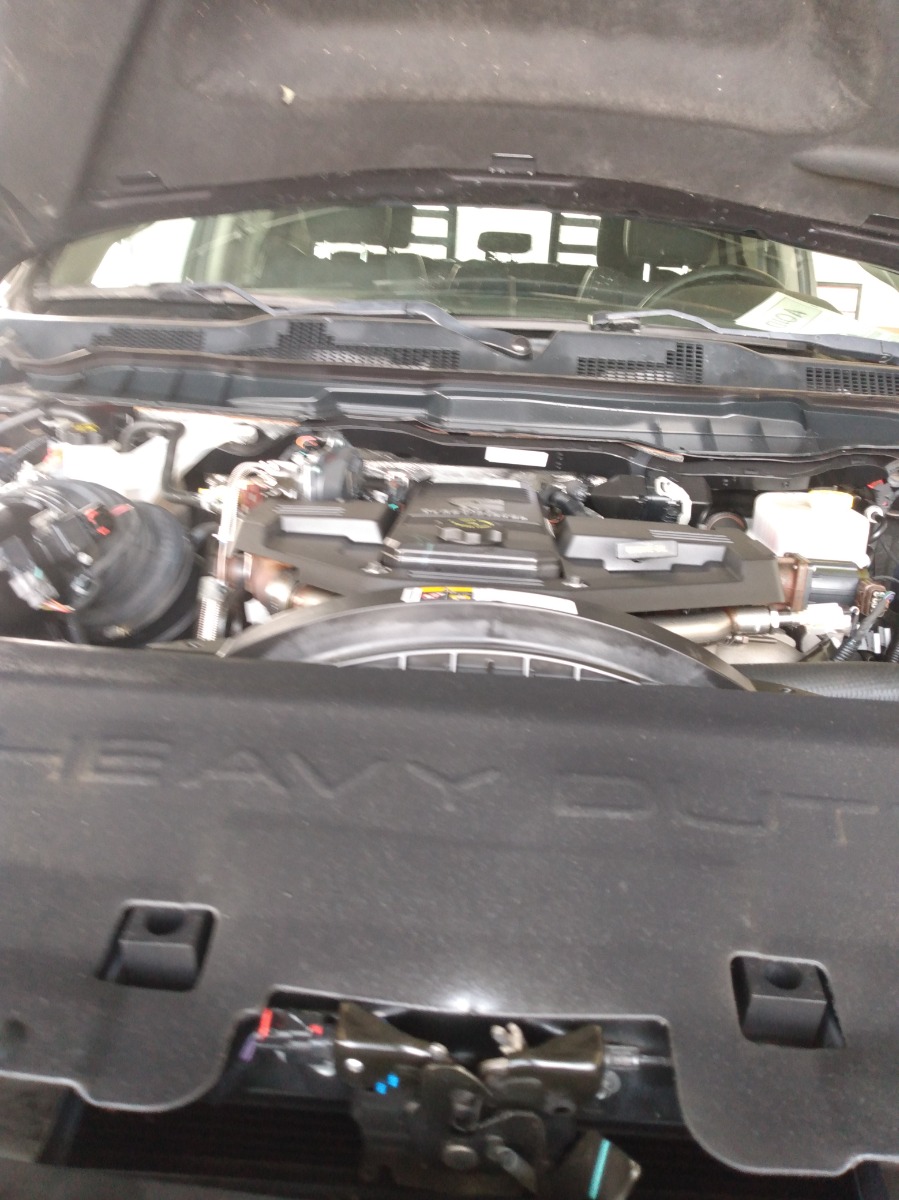 Engine Bay