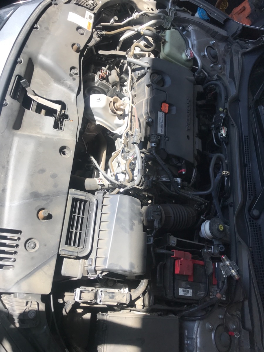 Engine Bay
