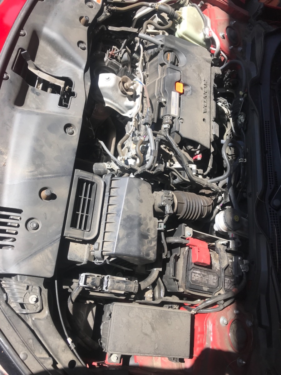 Engine Bay