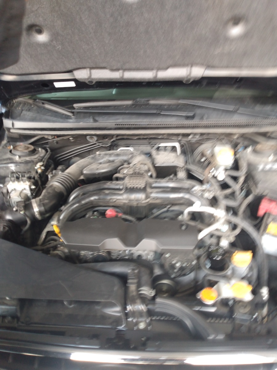 Engine Bay