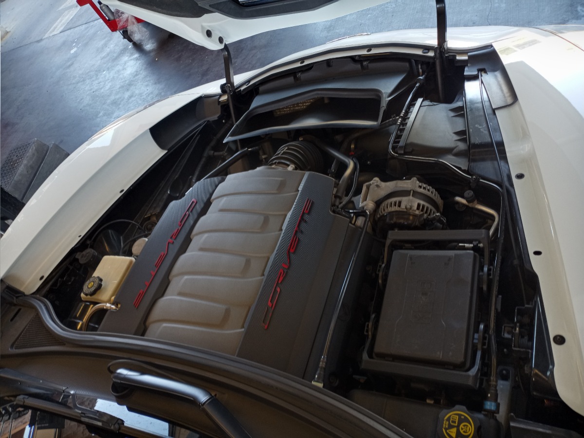 Engine Bay