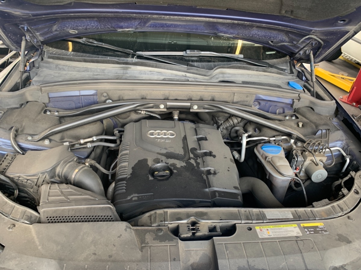 Engine Bay