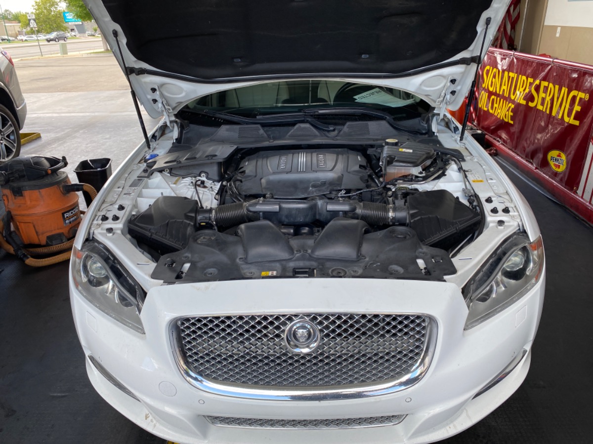 Engine Bay