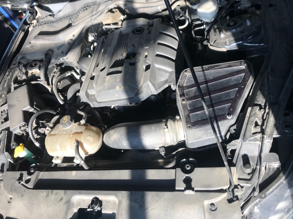 Engine Bay
