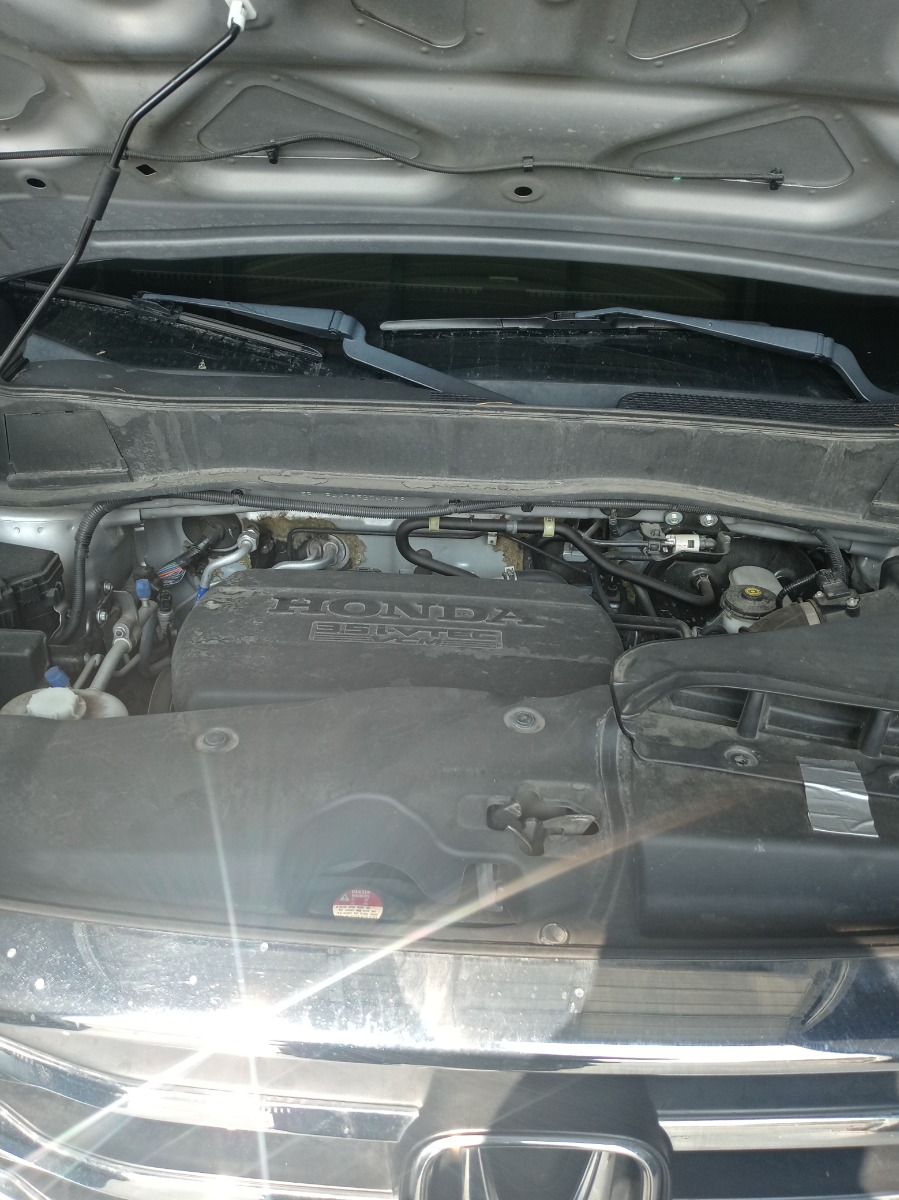 Engine Bay