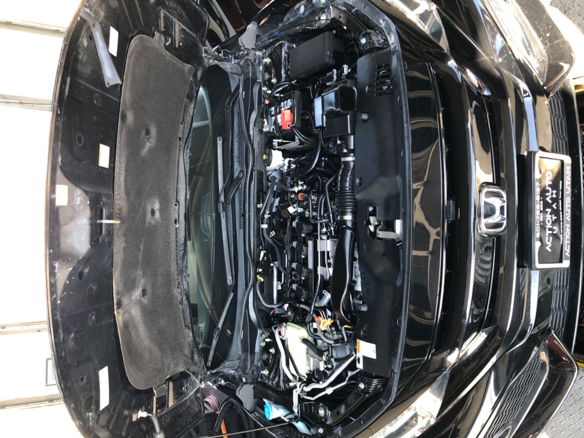 Engine Bay