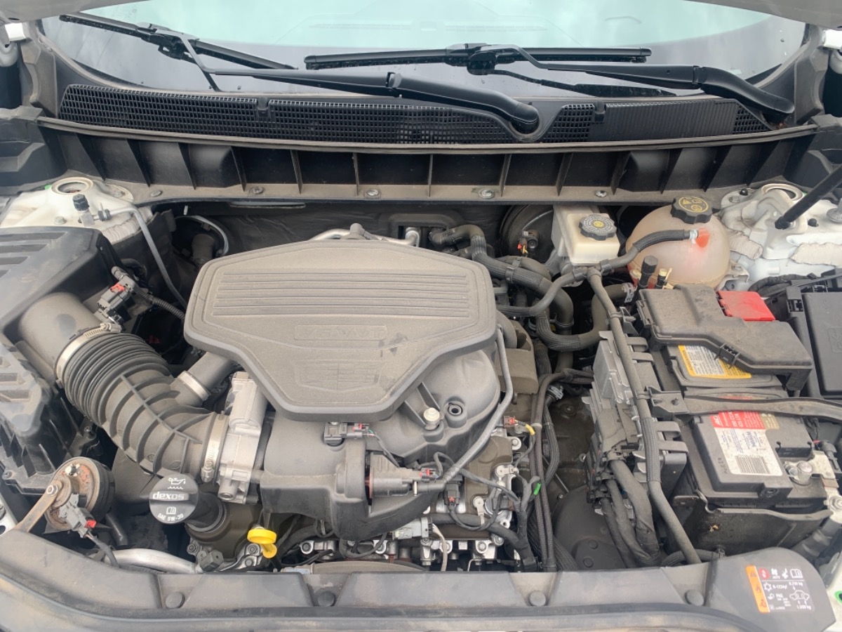 Engine Bay