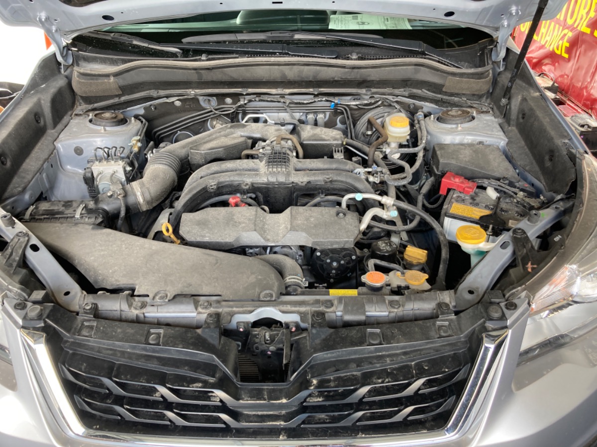 Engine Bay