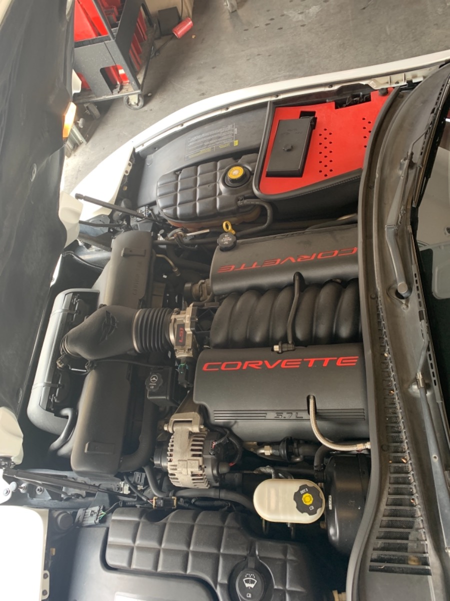 Engine Bay