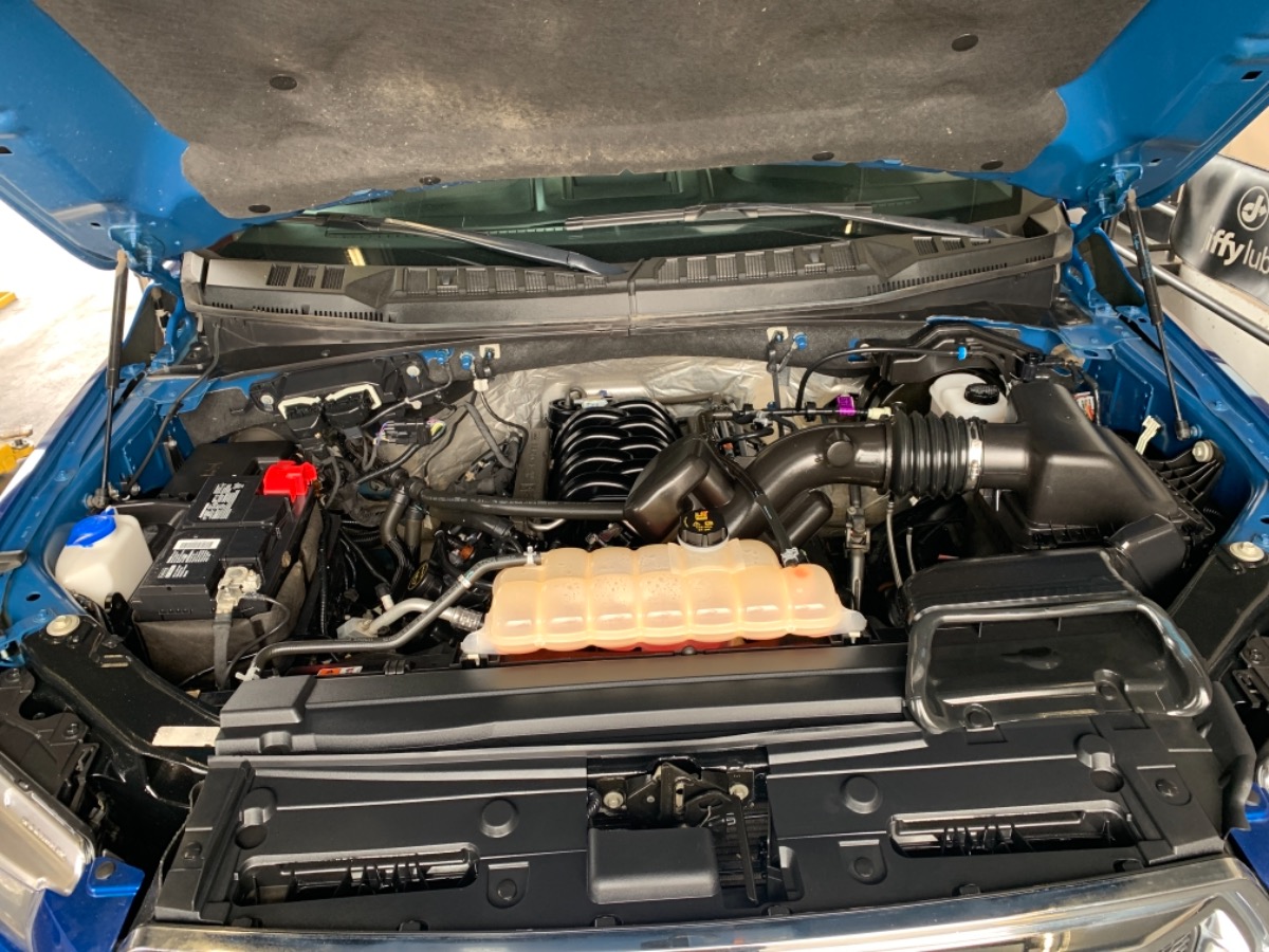 Engine Bay