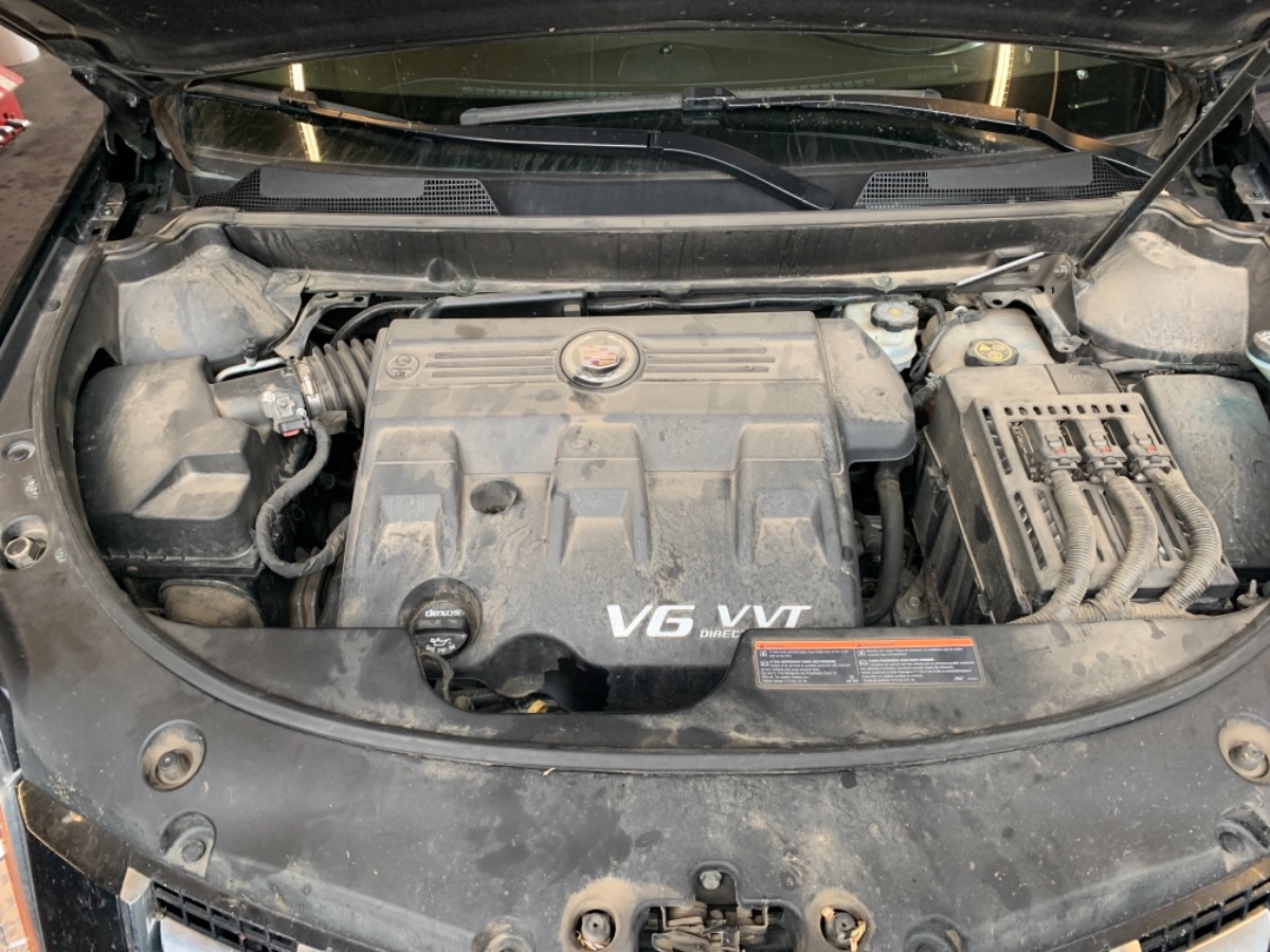 Engine Bay