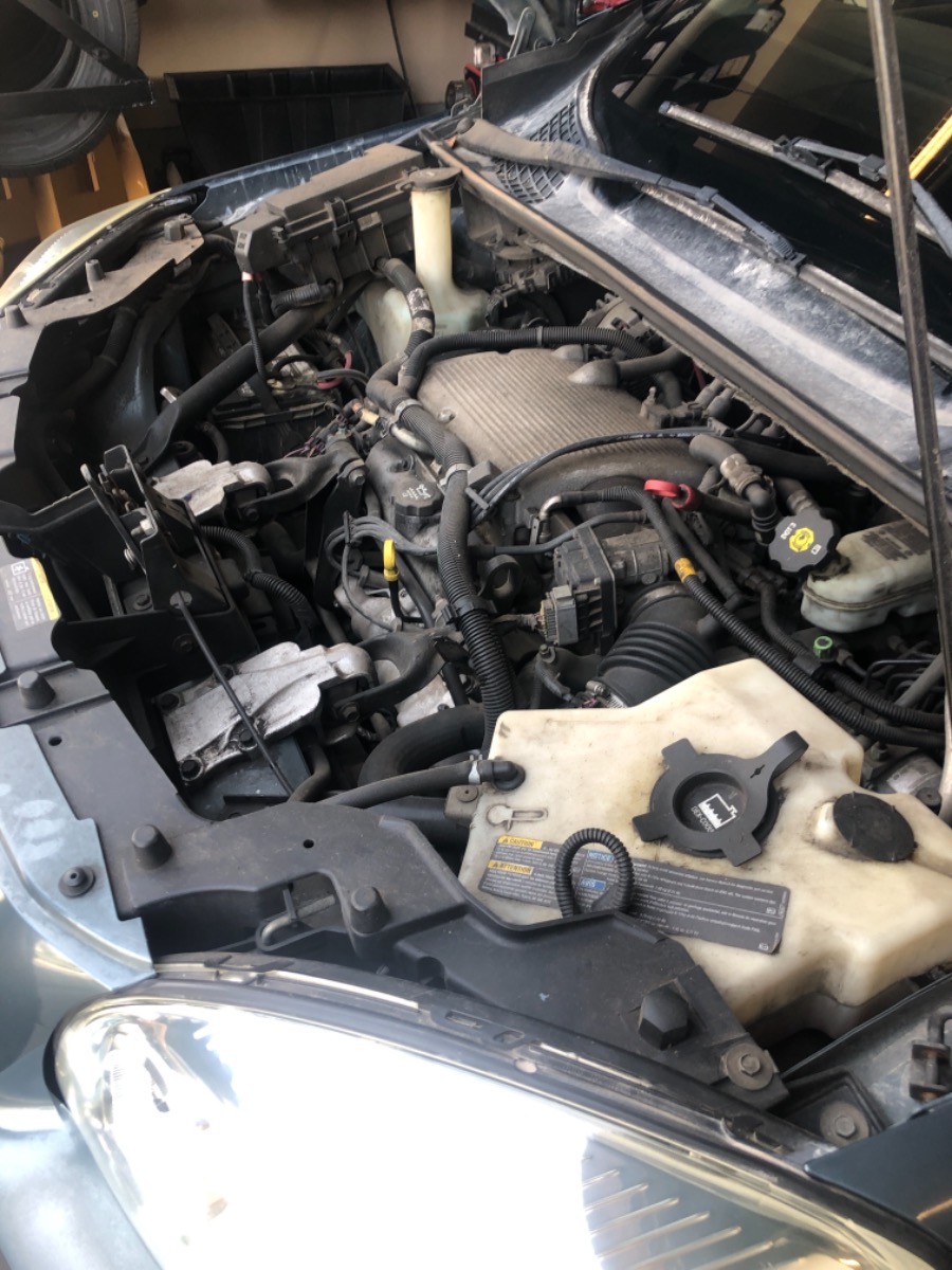 Engine Bay