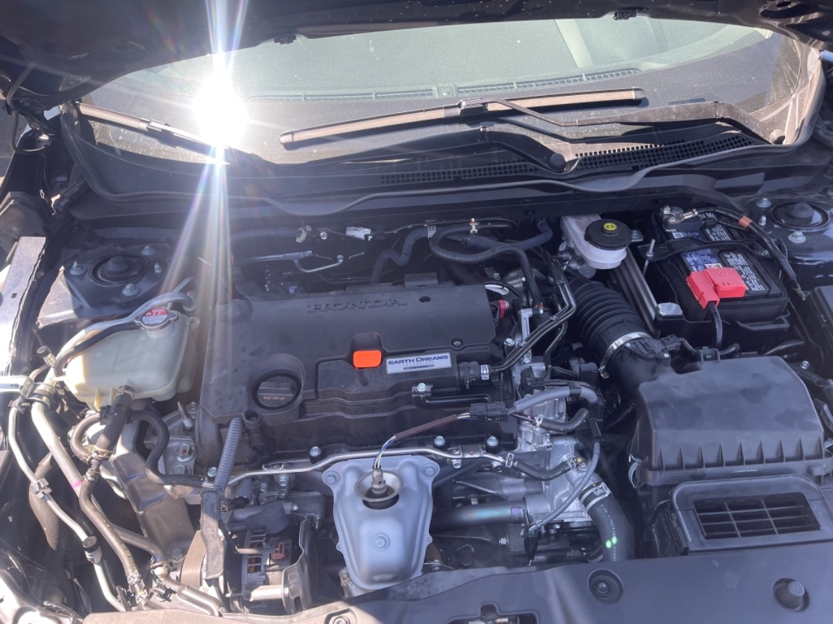 Engine Bay