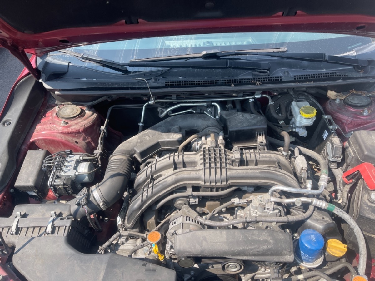 Engine Bay