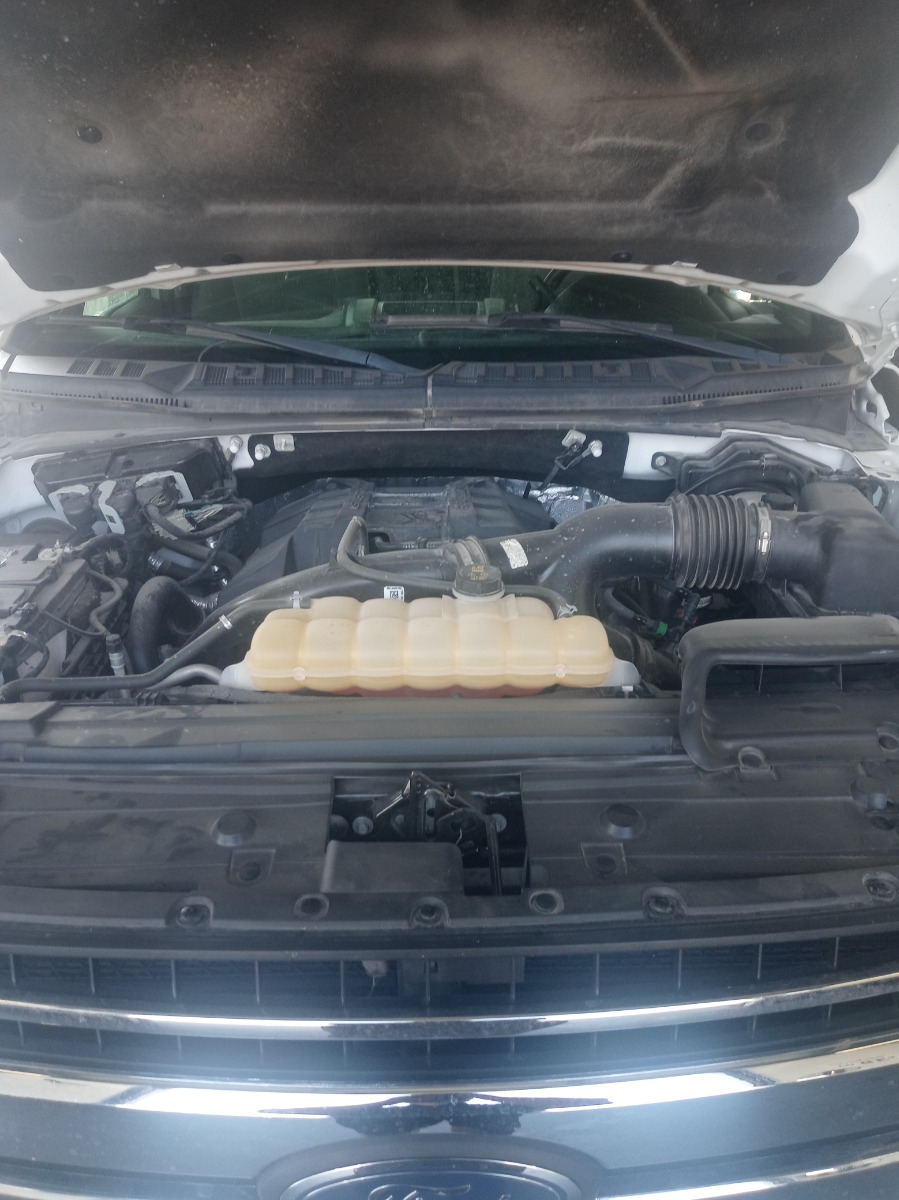 Engine Bay
