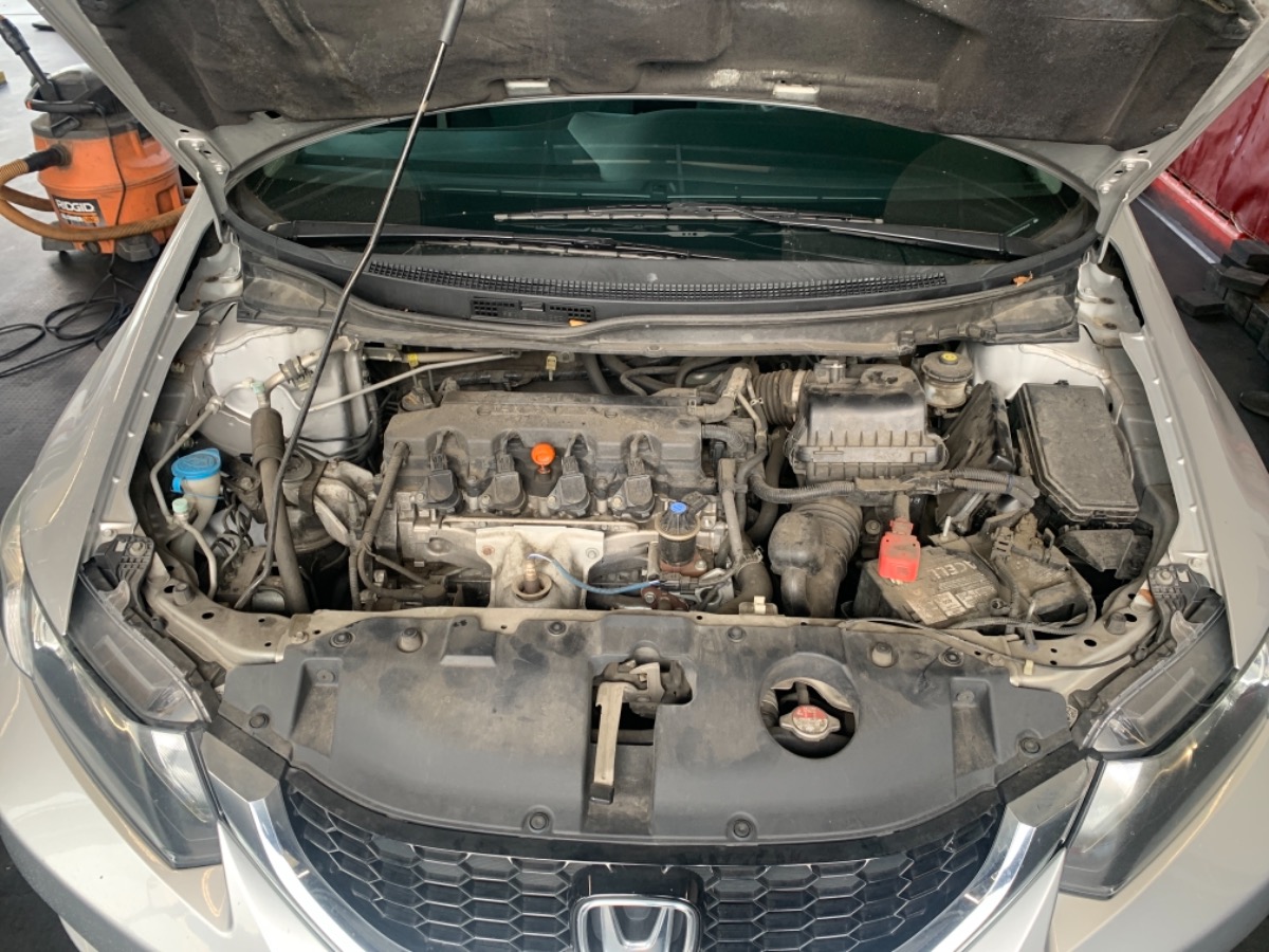 Engine Bay