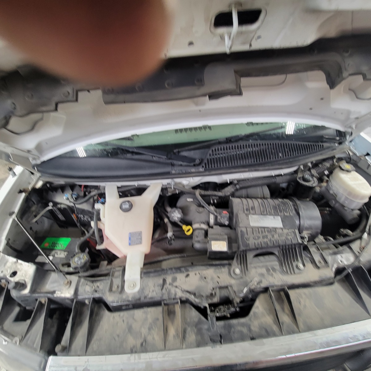Engine Bay