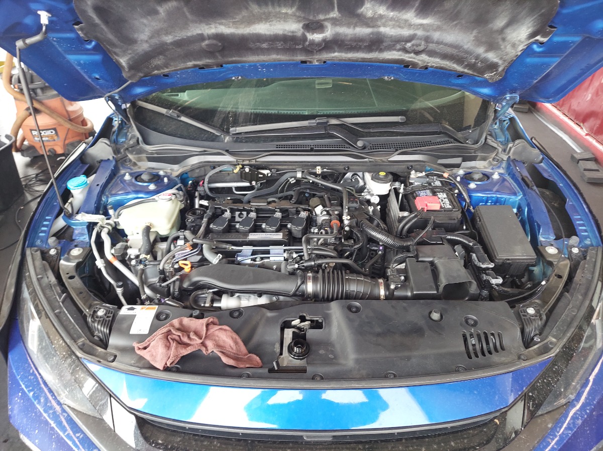 Engine Bay