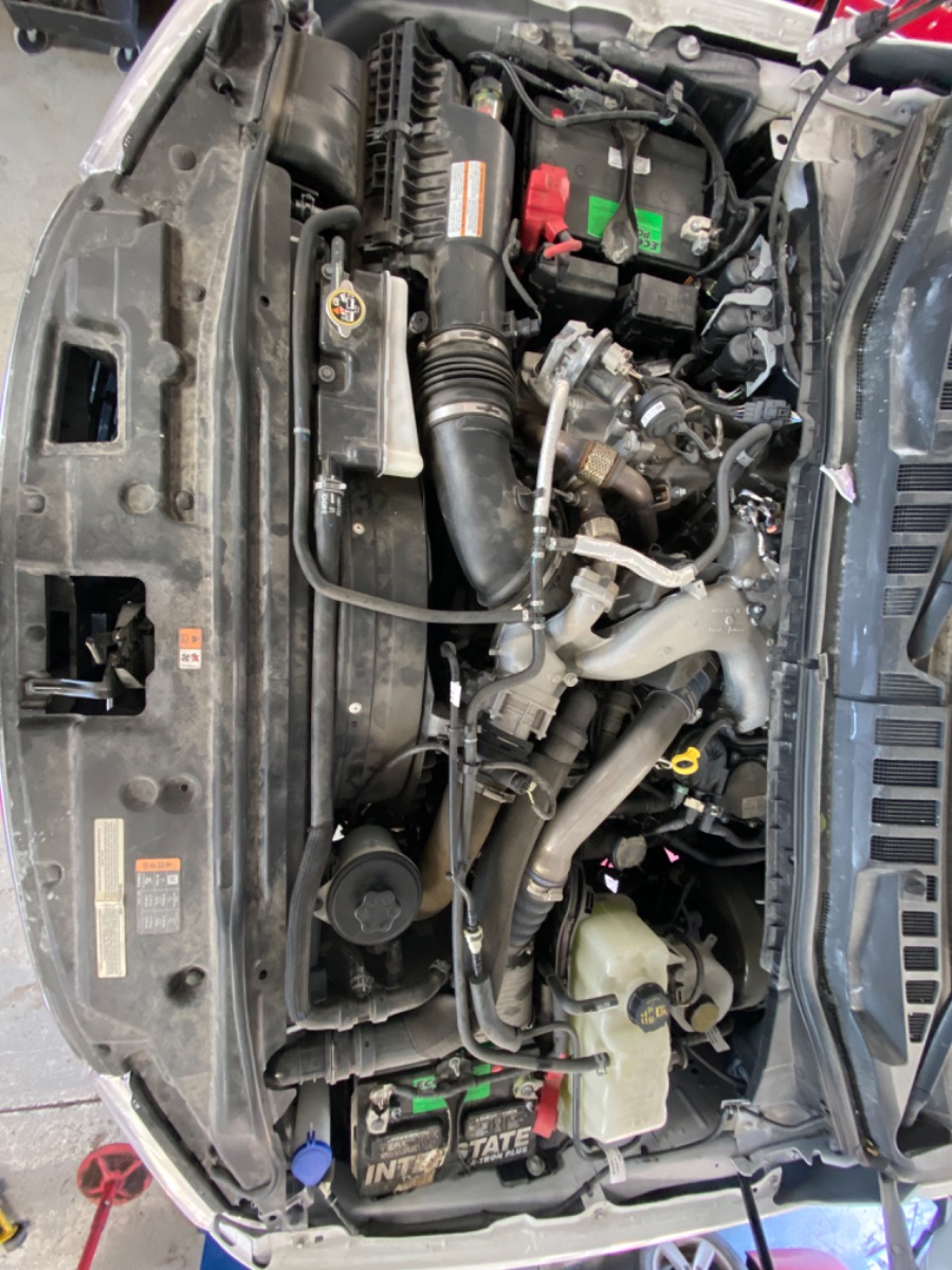 Engine Bay