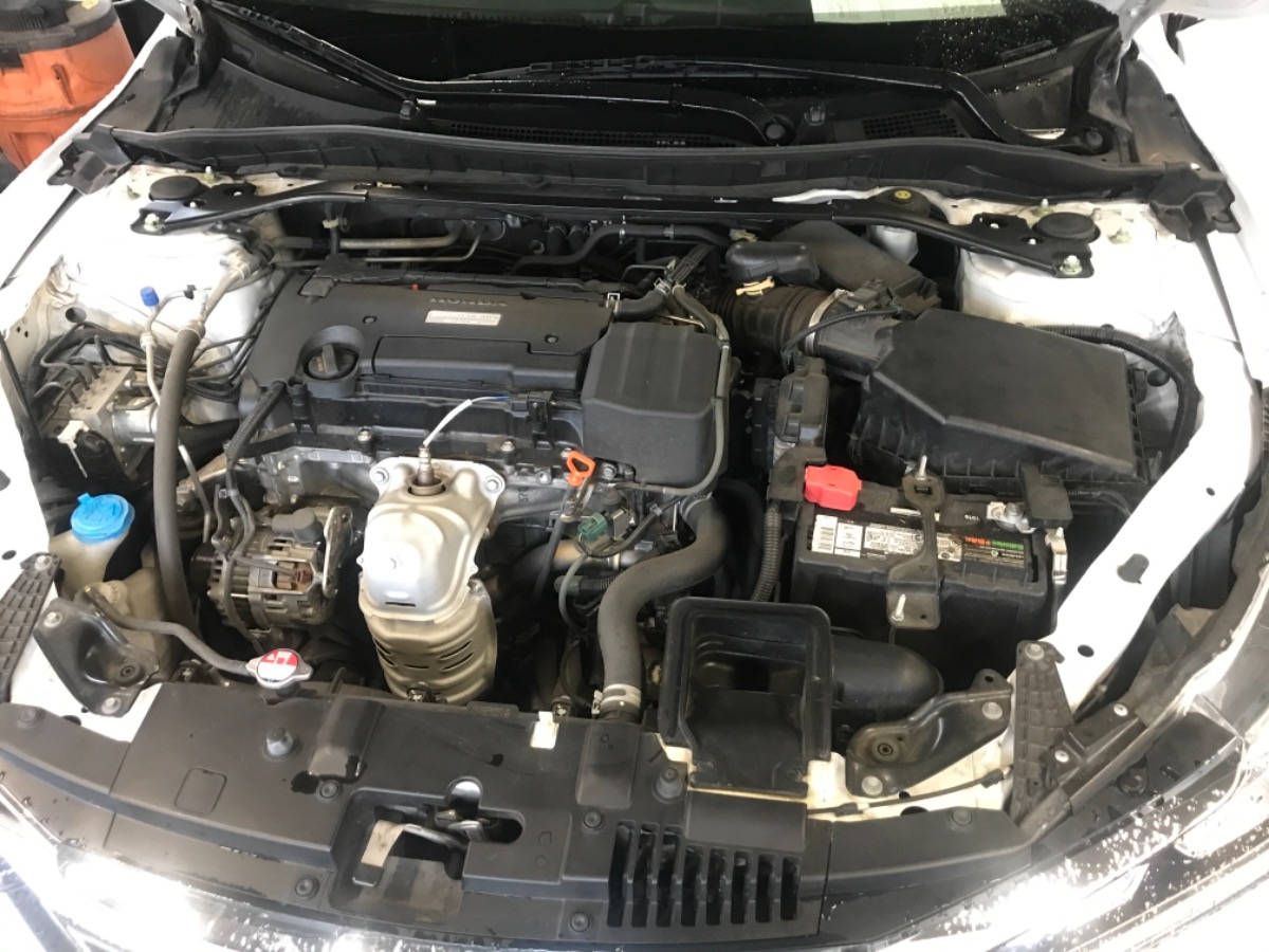 Engine Bay