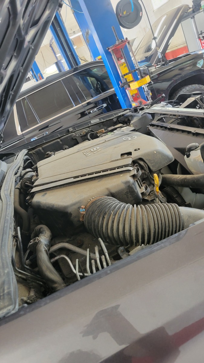 Engine Bay