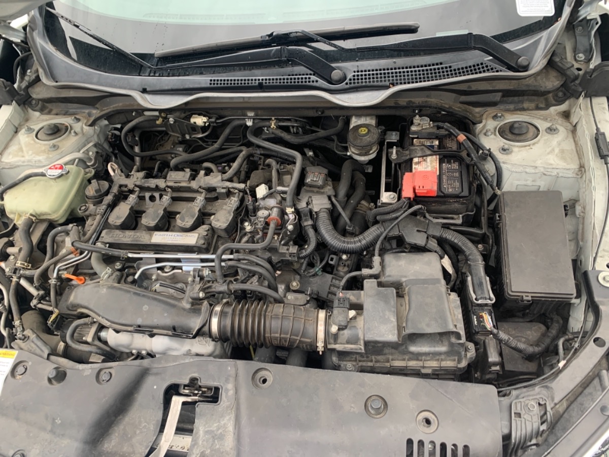 Engine Bay
