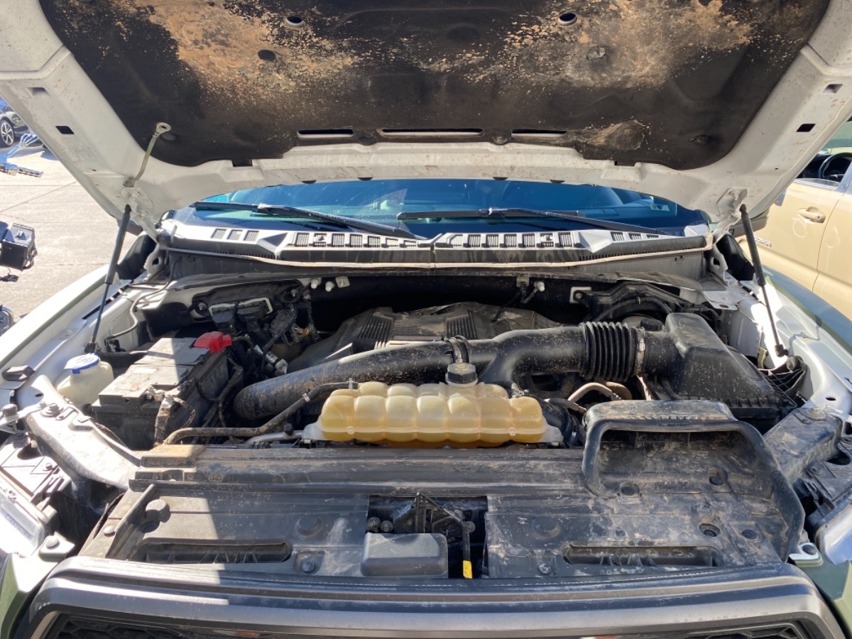 Engine Bay
