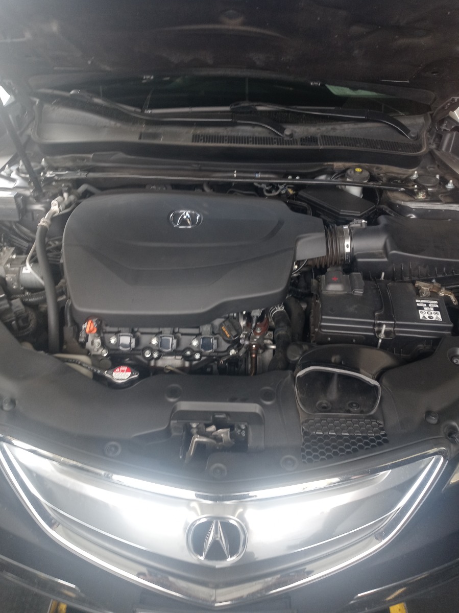 Engine Bay