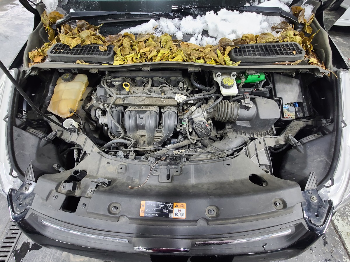 Engine Bay