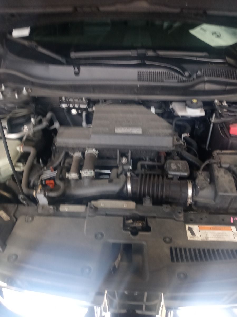 Engine Bay